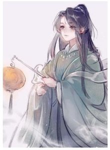 放开朕,朕没孕